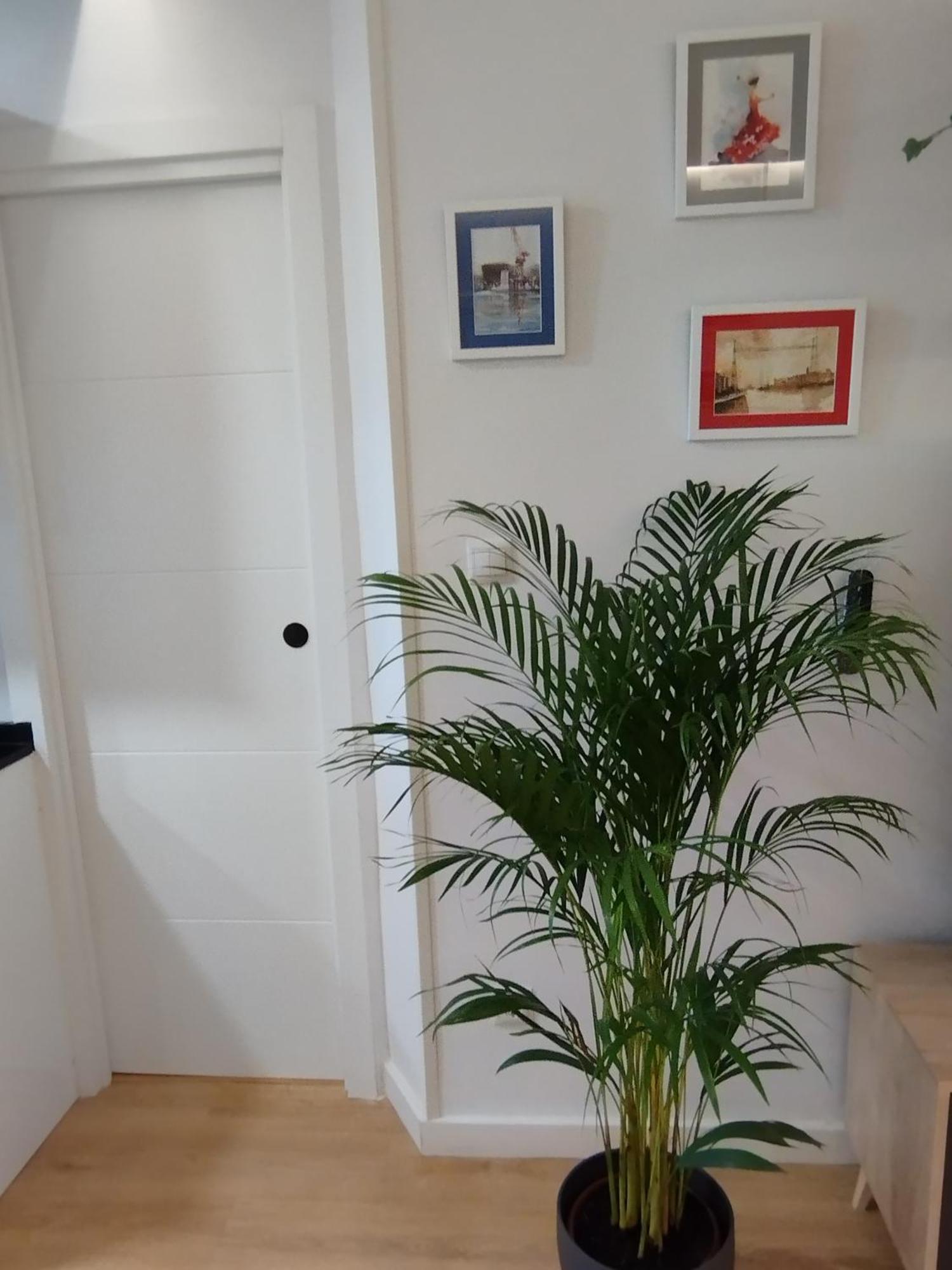Apartamento La Carola Bilbao Exterior foto